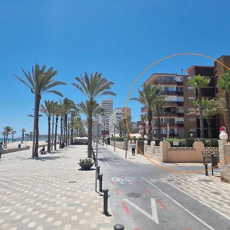 Febus Alicante